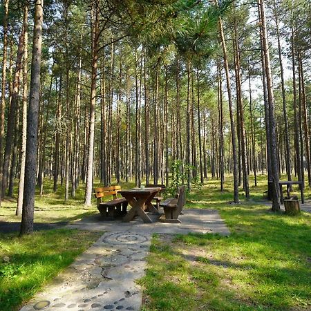 Forest Cottage Neringa Buitenkant foto