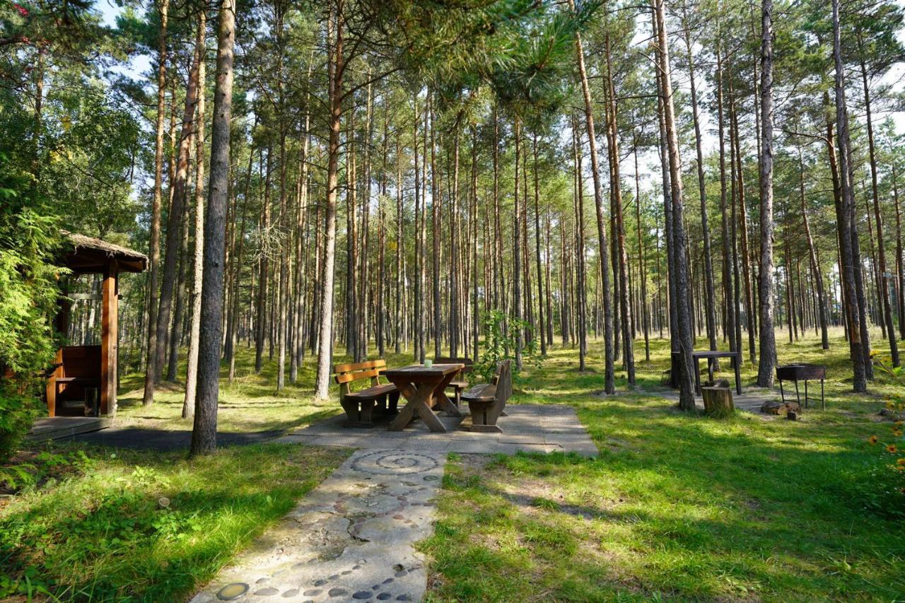 Forest Cottage Neringa Buitenkant foto